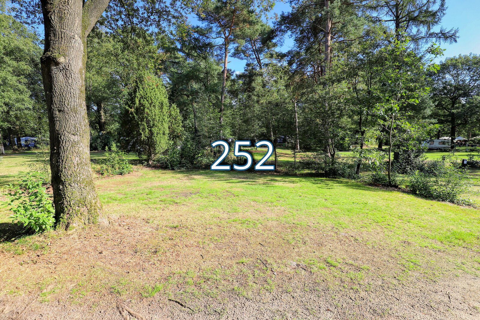 bosrand 252