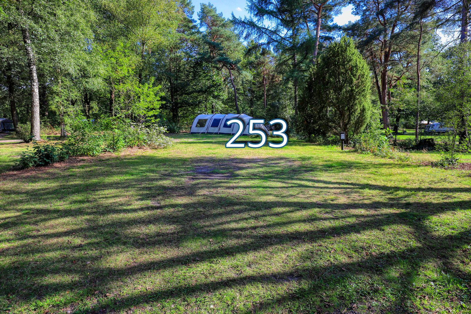 bosrand 253