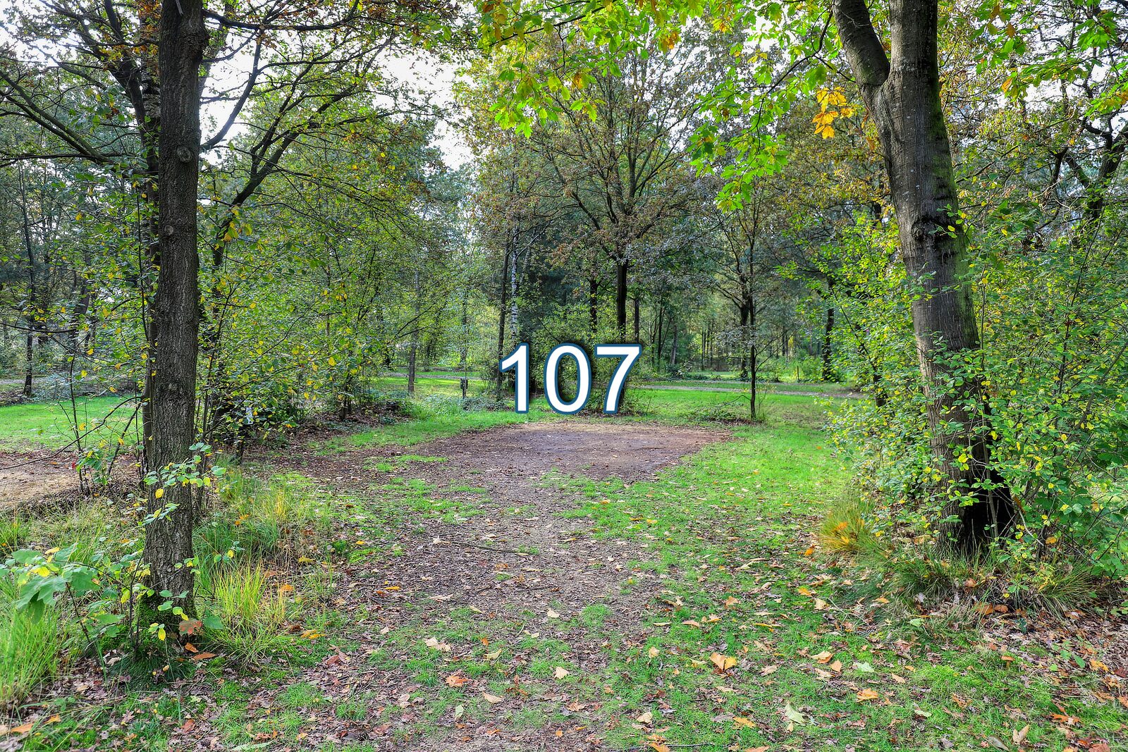 boshoek 107