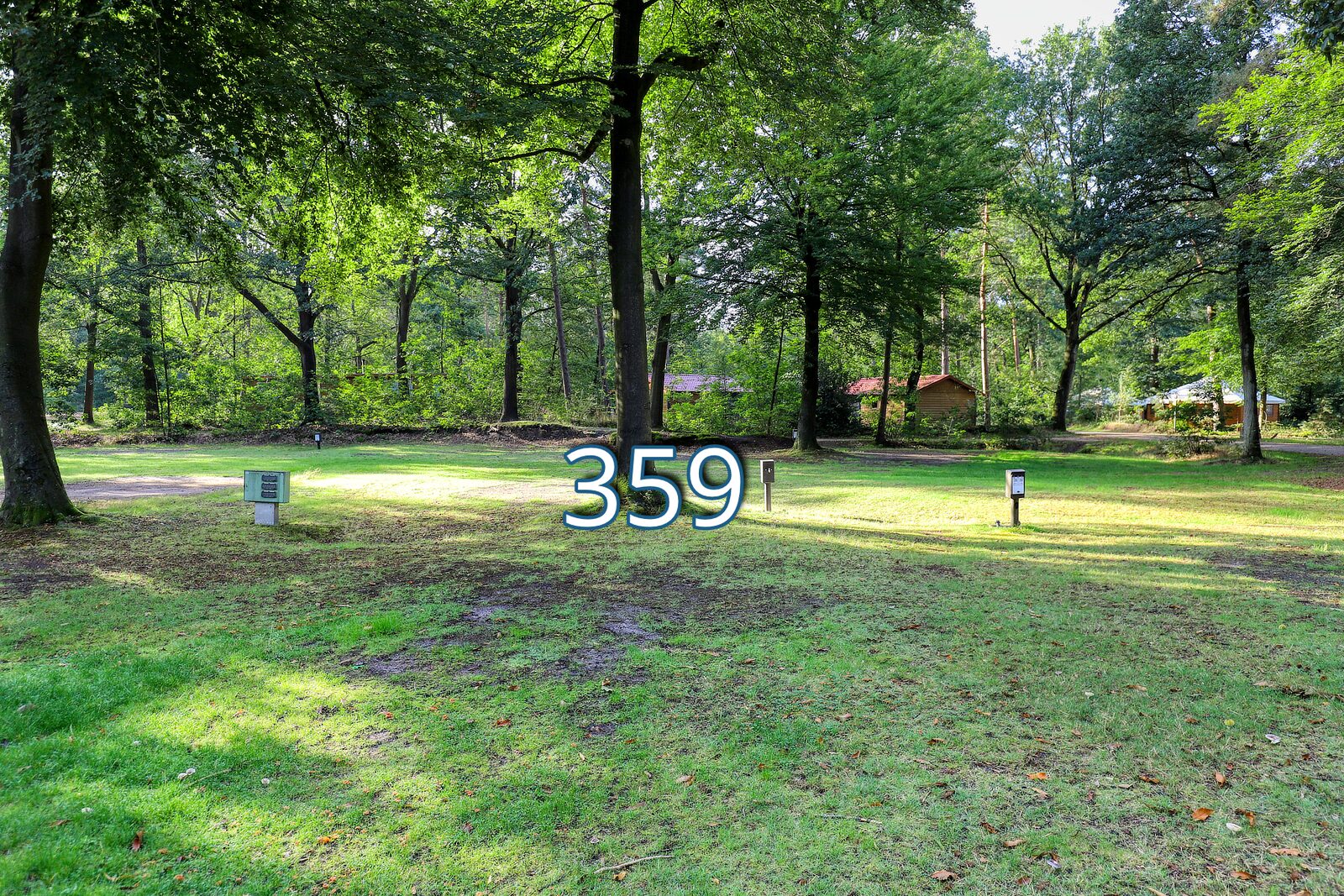 houtduif 359
