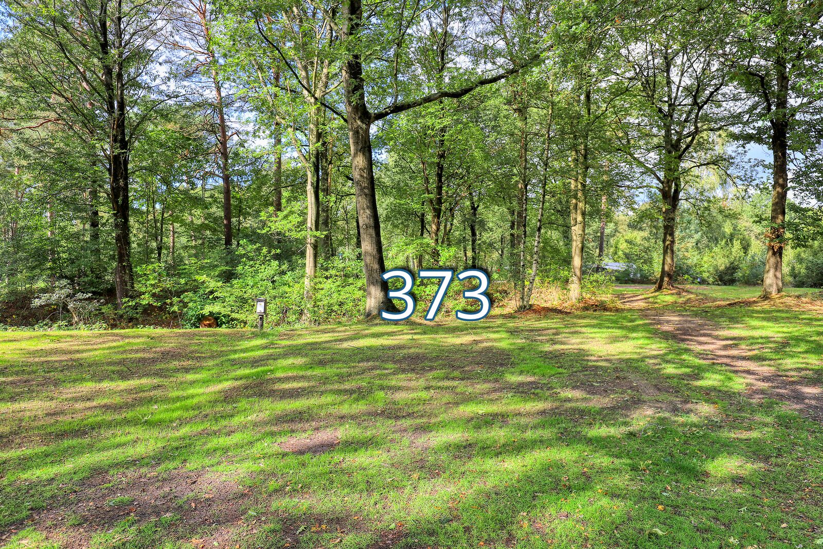 houtduif 373