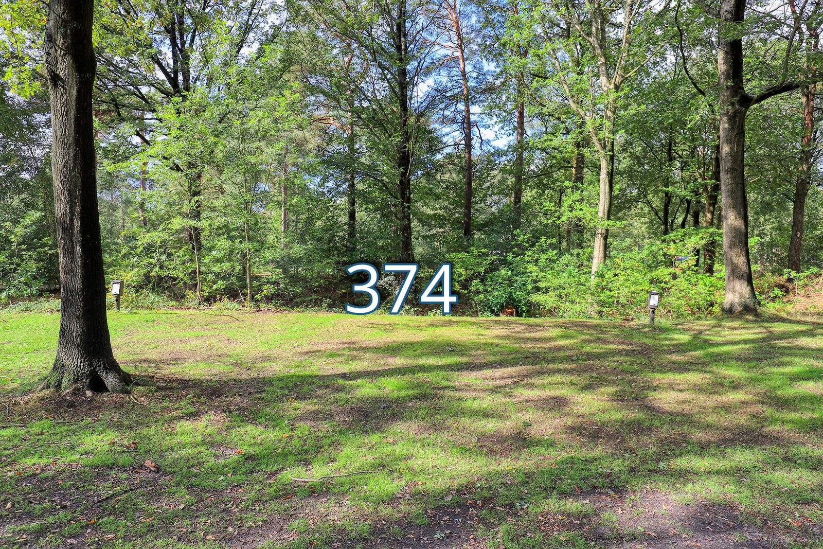 houtduif 374