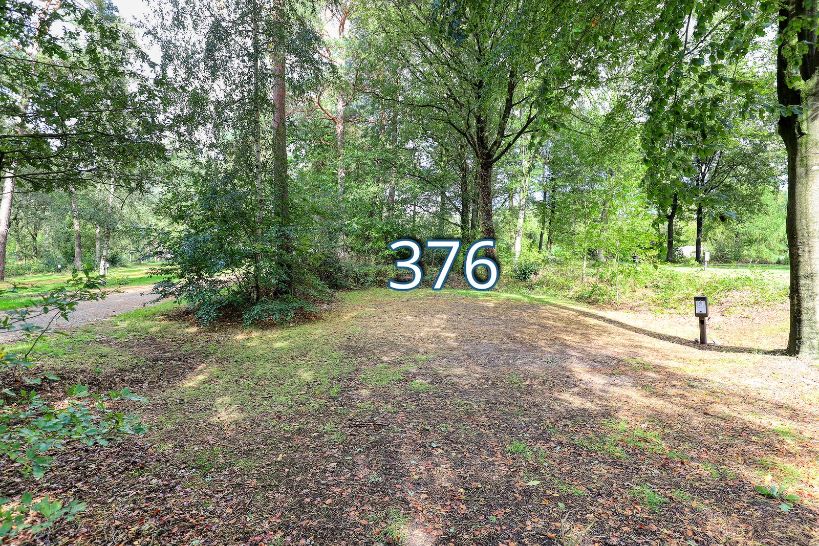 houtduif 376