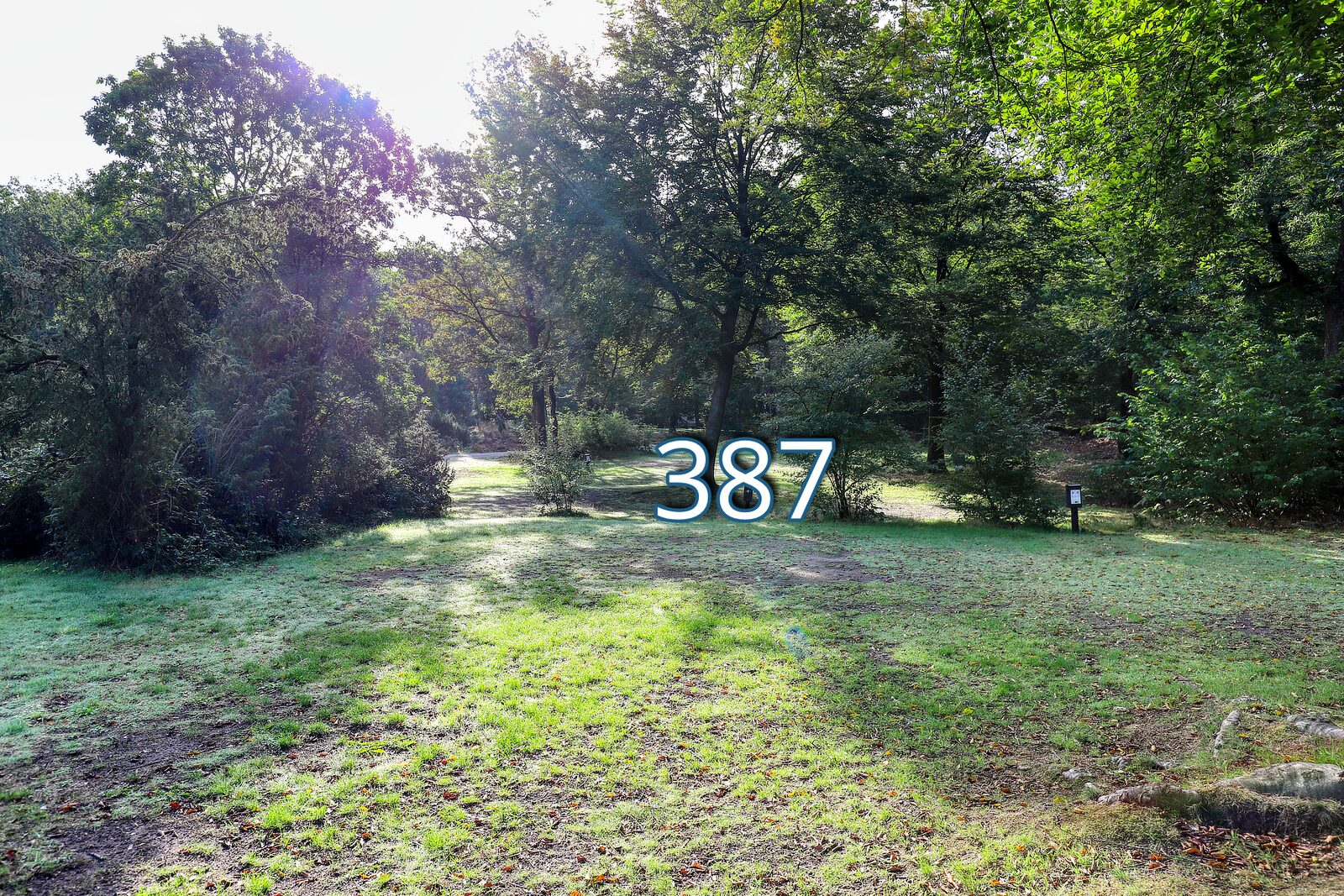 houtduif 387