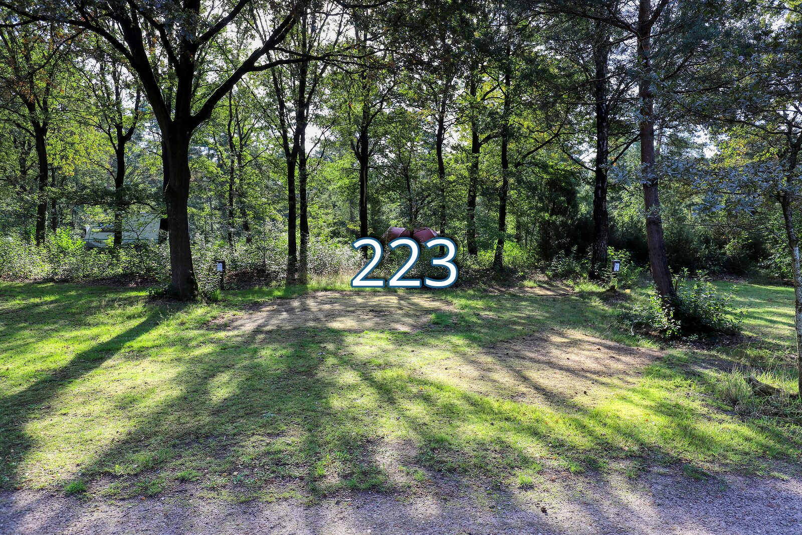 iberen 223