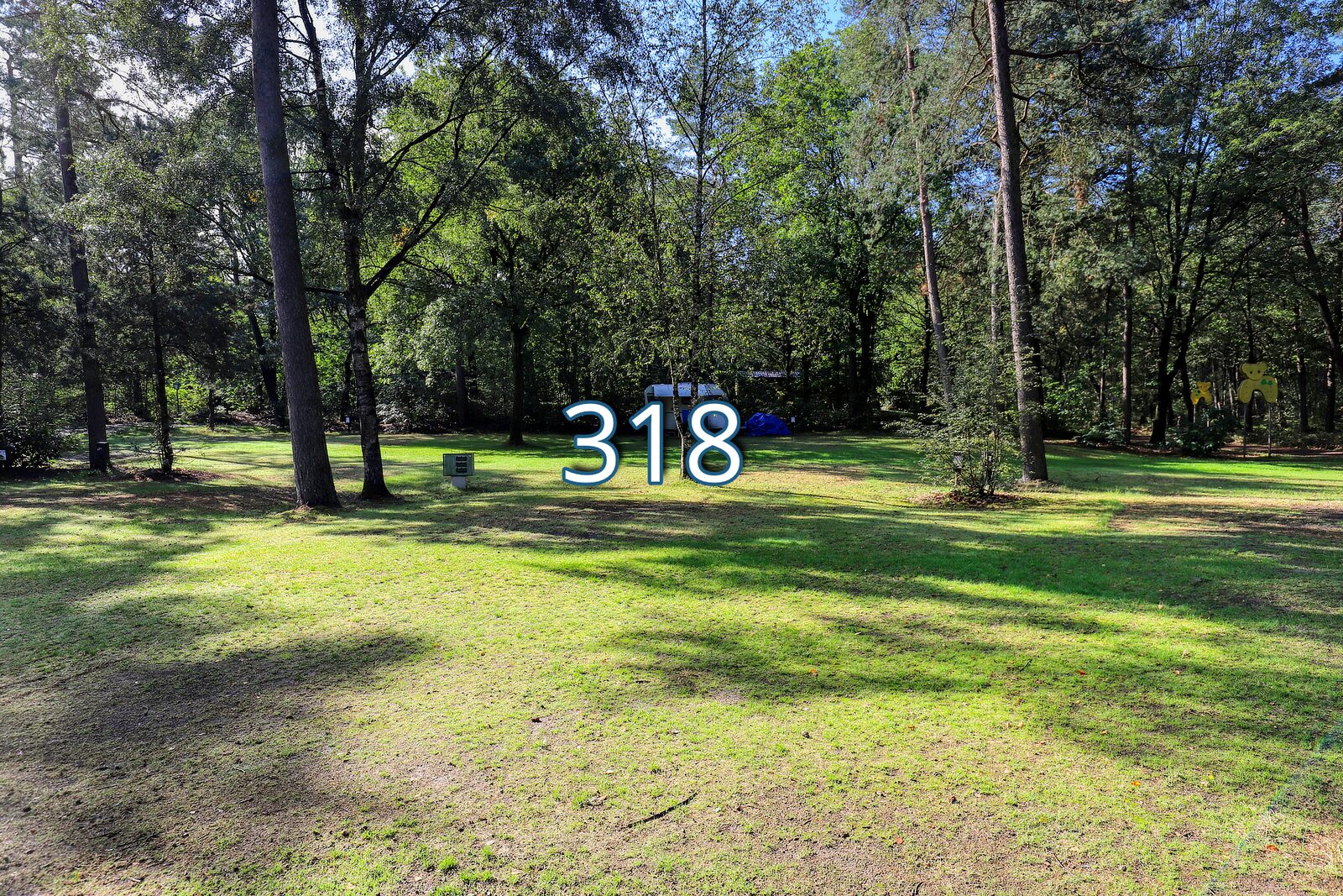 kwikstaart 318