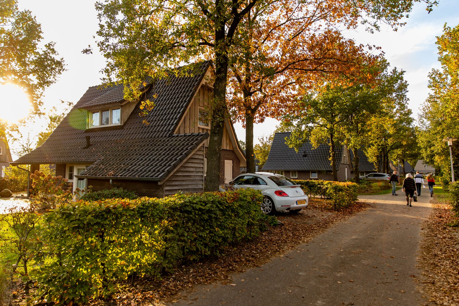 Vacation villas near Zwolle
