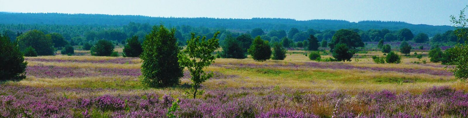 Zwerven over bergen (13km)