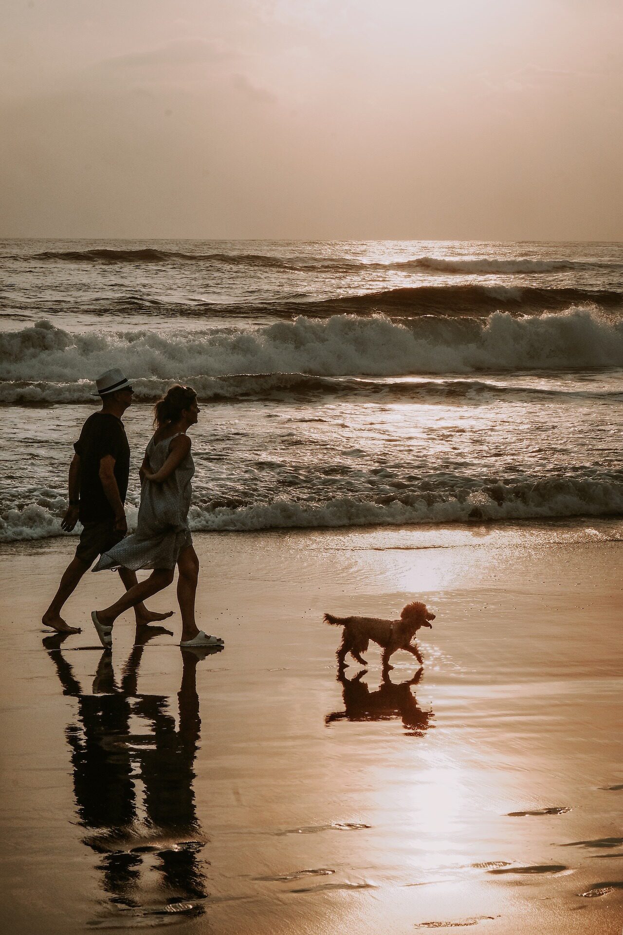 Urlaubsresort am Meer mit Hund