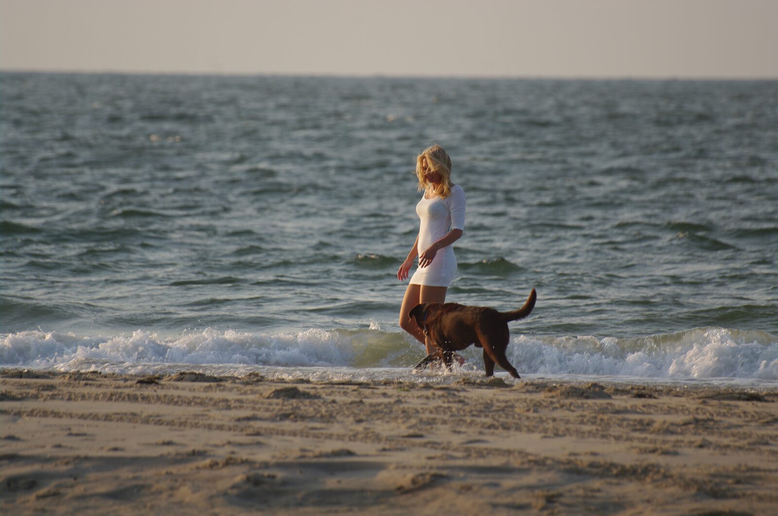 Nordsee Urlaub mit Hund