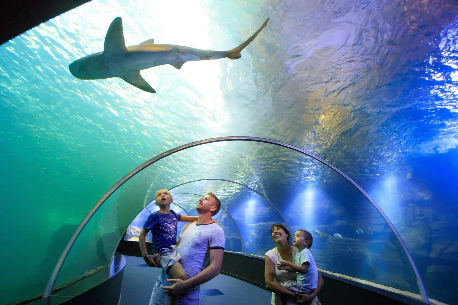Nausicaá: the largest aquarium in Europe in Boulogne-sur-Mer