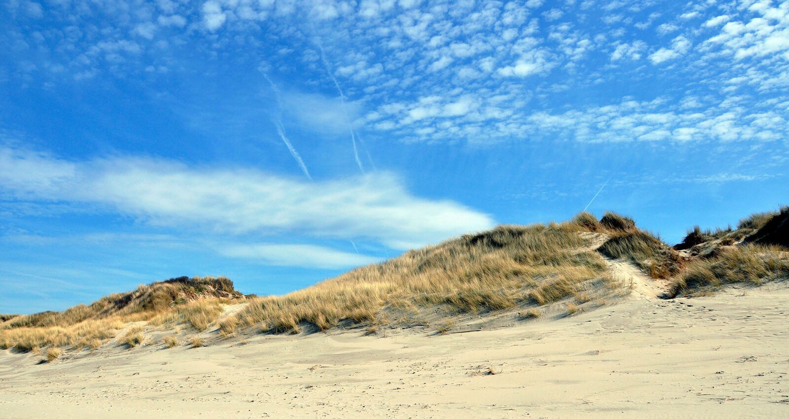 Dunes Bray-Dunes