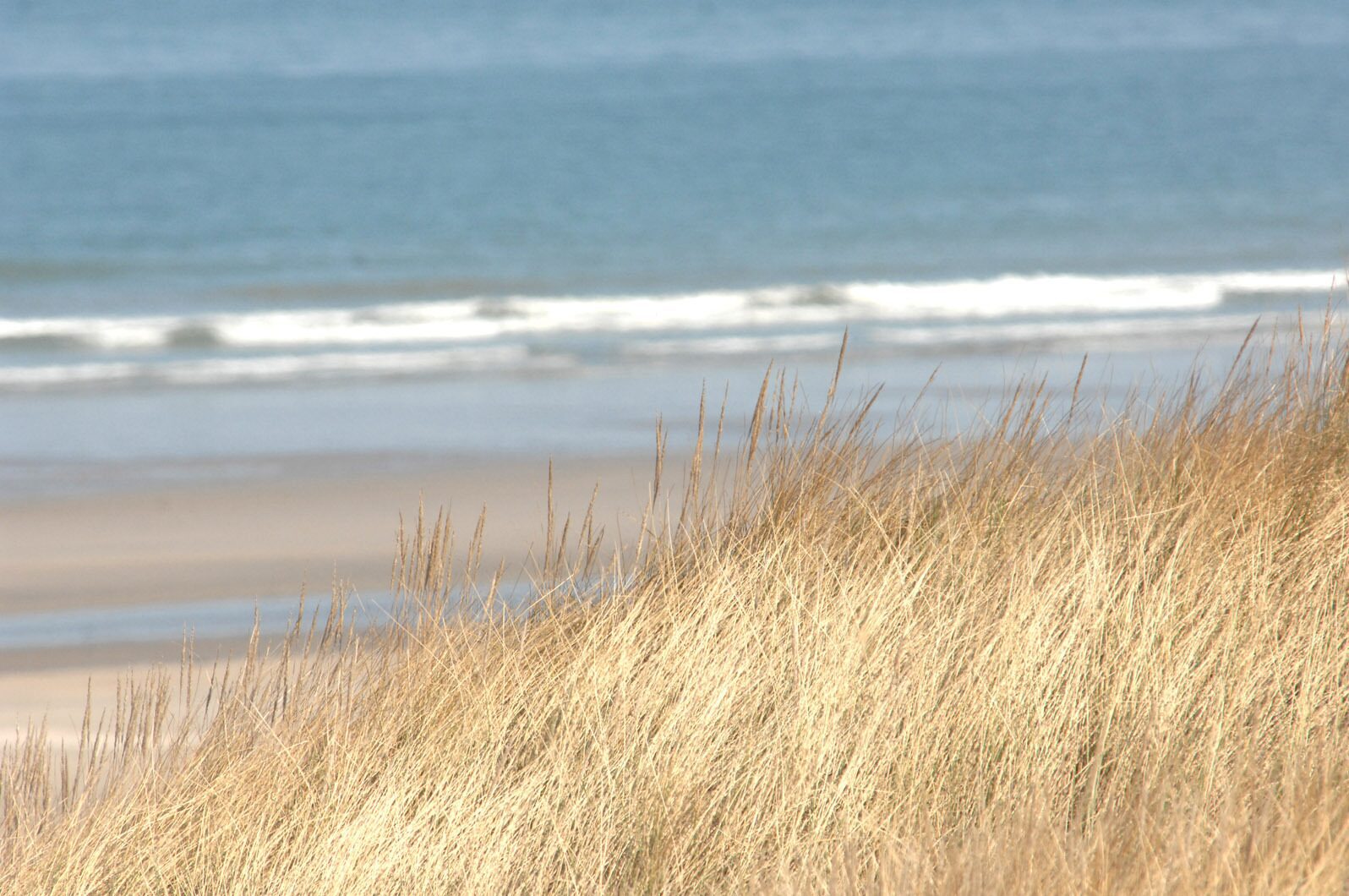 Beach Bray-Dunes