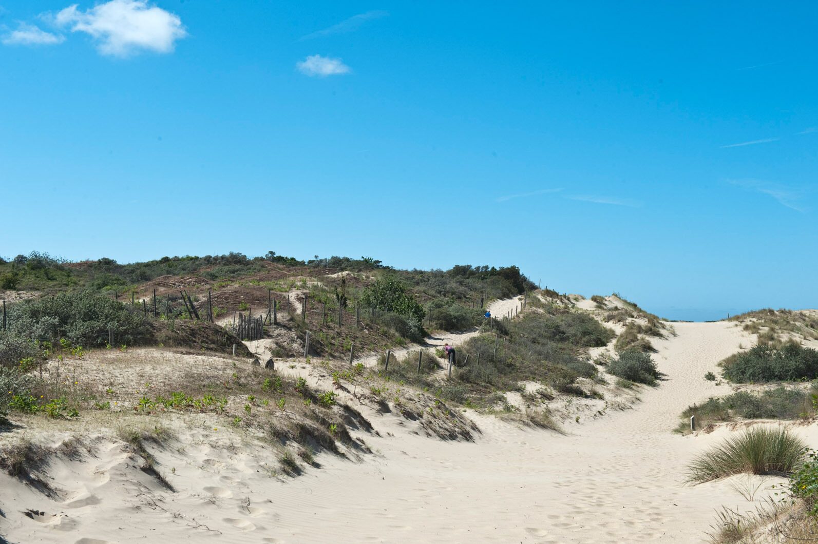 Dunes de Bray-Dunes
