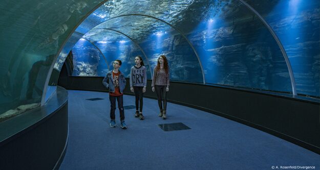 Aquarium de Nausicaa à Boulogne sur Mer sur la Côte d'Opale