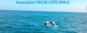 Association Pêche Côte Opale