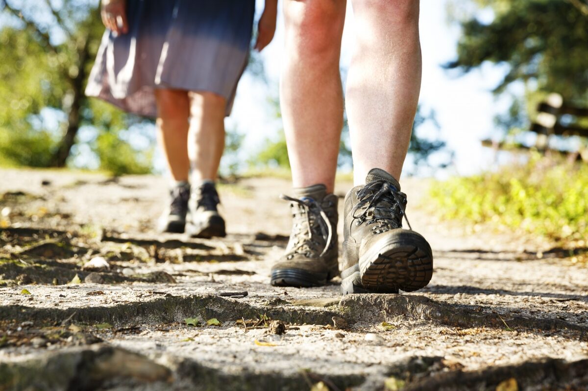  Pieterpad wandelen met overnachting