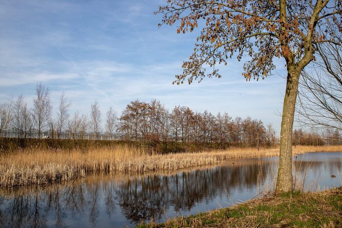 Umgebung in Friesland Tusken de Marren