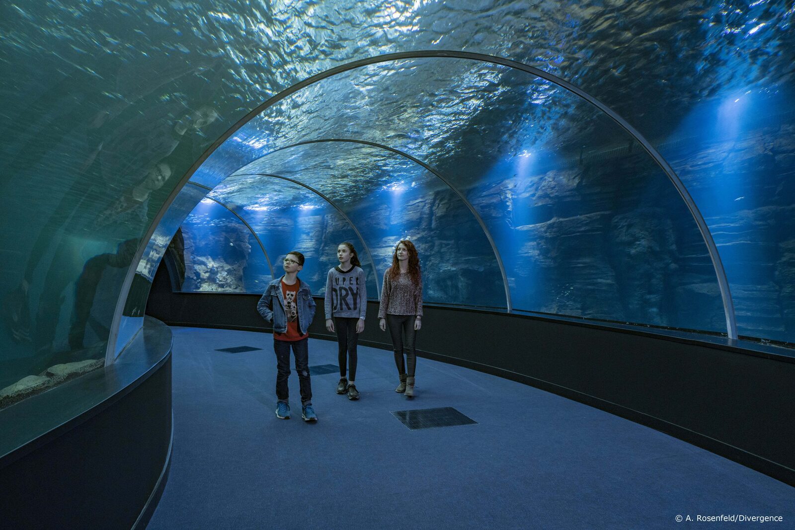 Nausicaa Boulogne sur Mer, het grootste Aquarium van Europa
