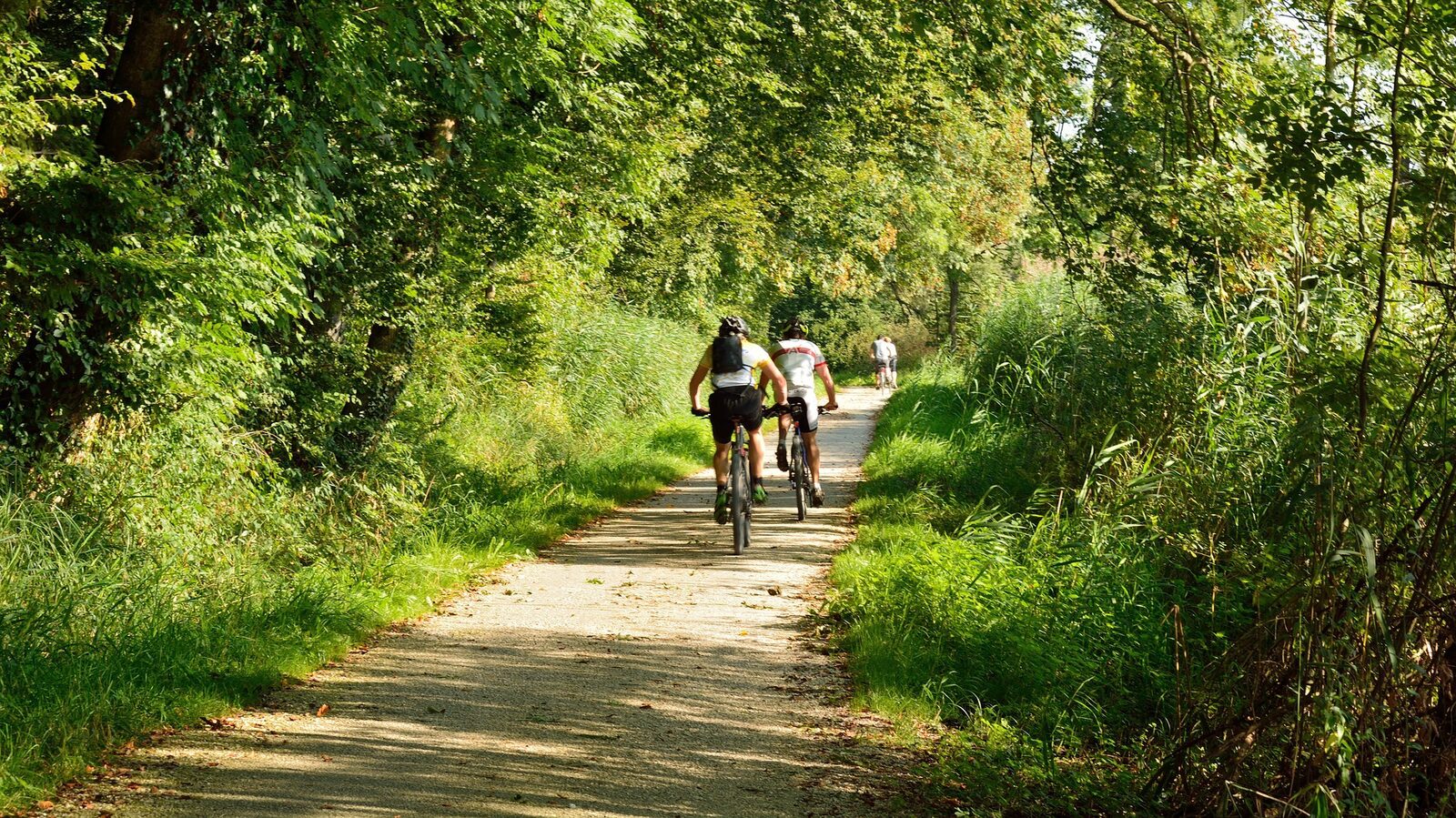 🚴🏼‍♀️ Fahrradrouten auf der Veluwe