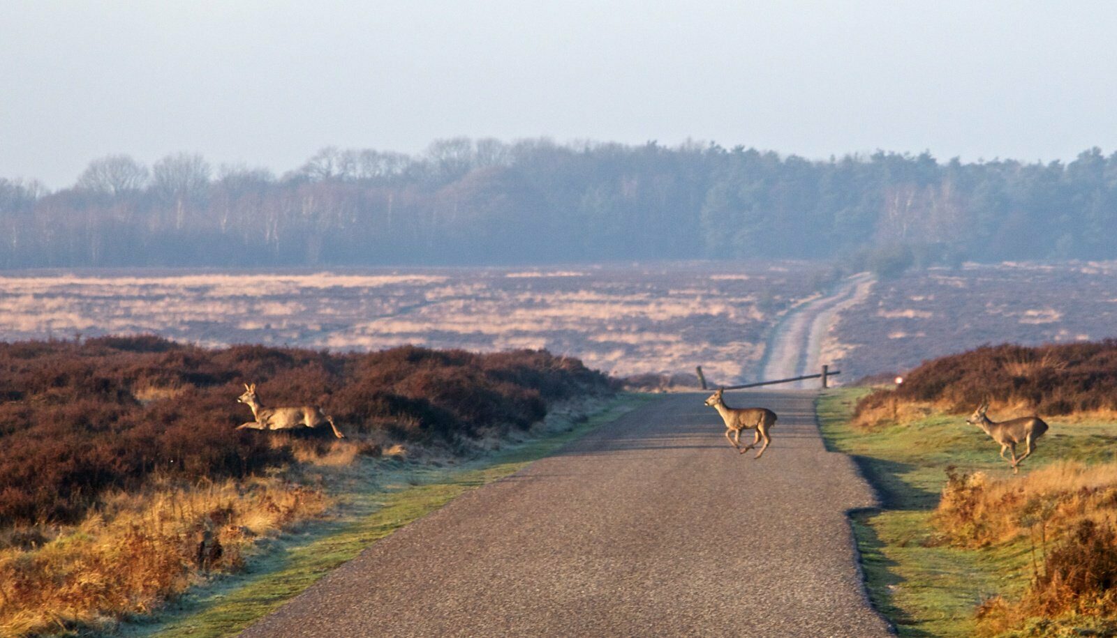 Nationalpark Hoge Veluwe