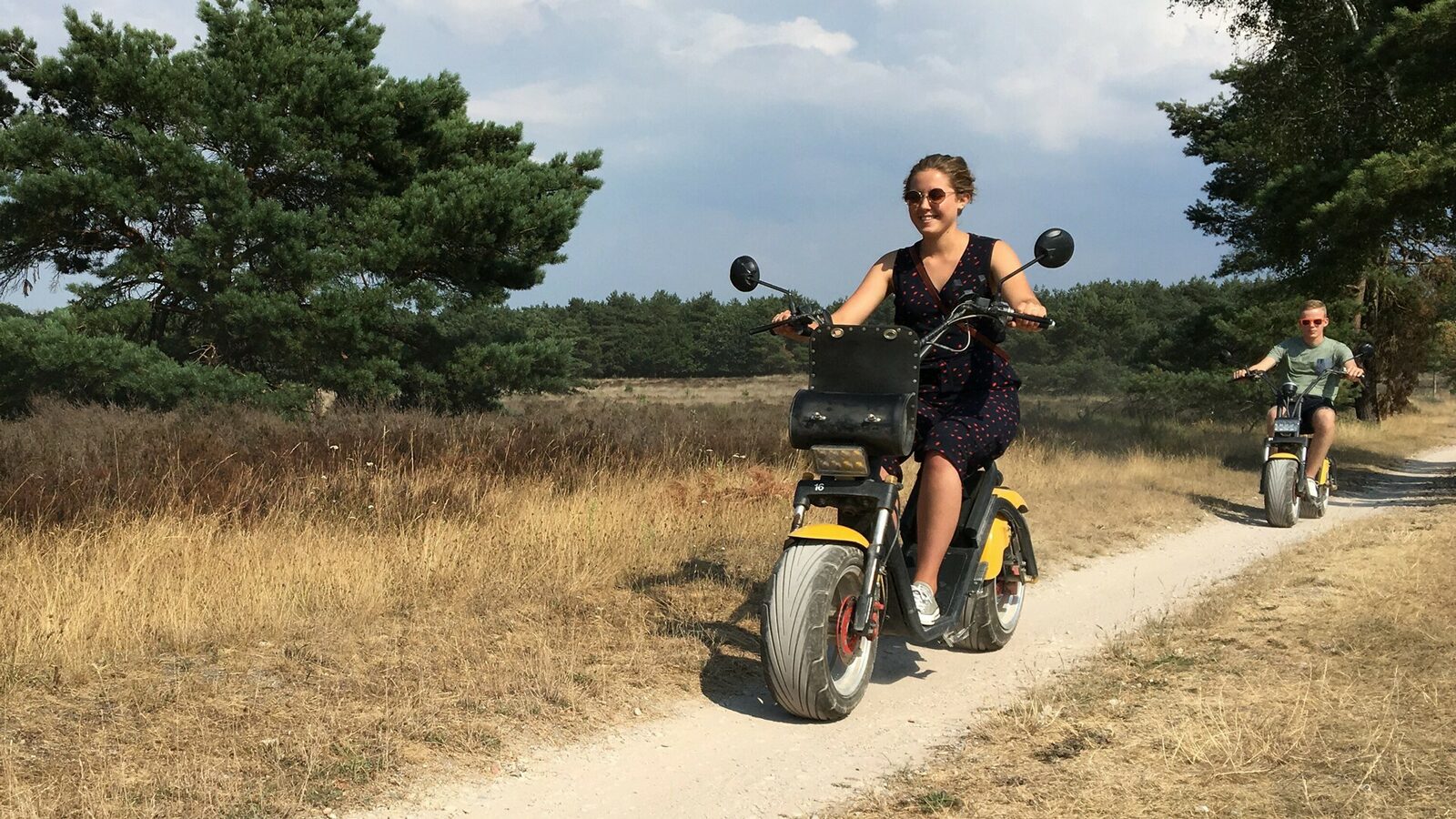 🚲 Everything on wheels for rent at the Veluwe Specialist!