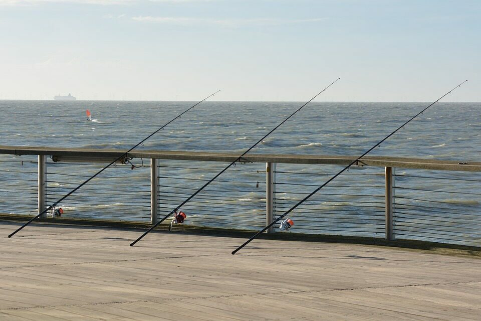 Vacances de pêche Pays-Bas