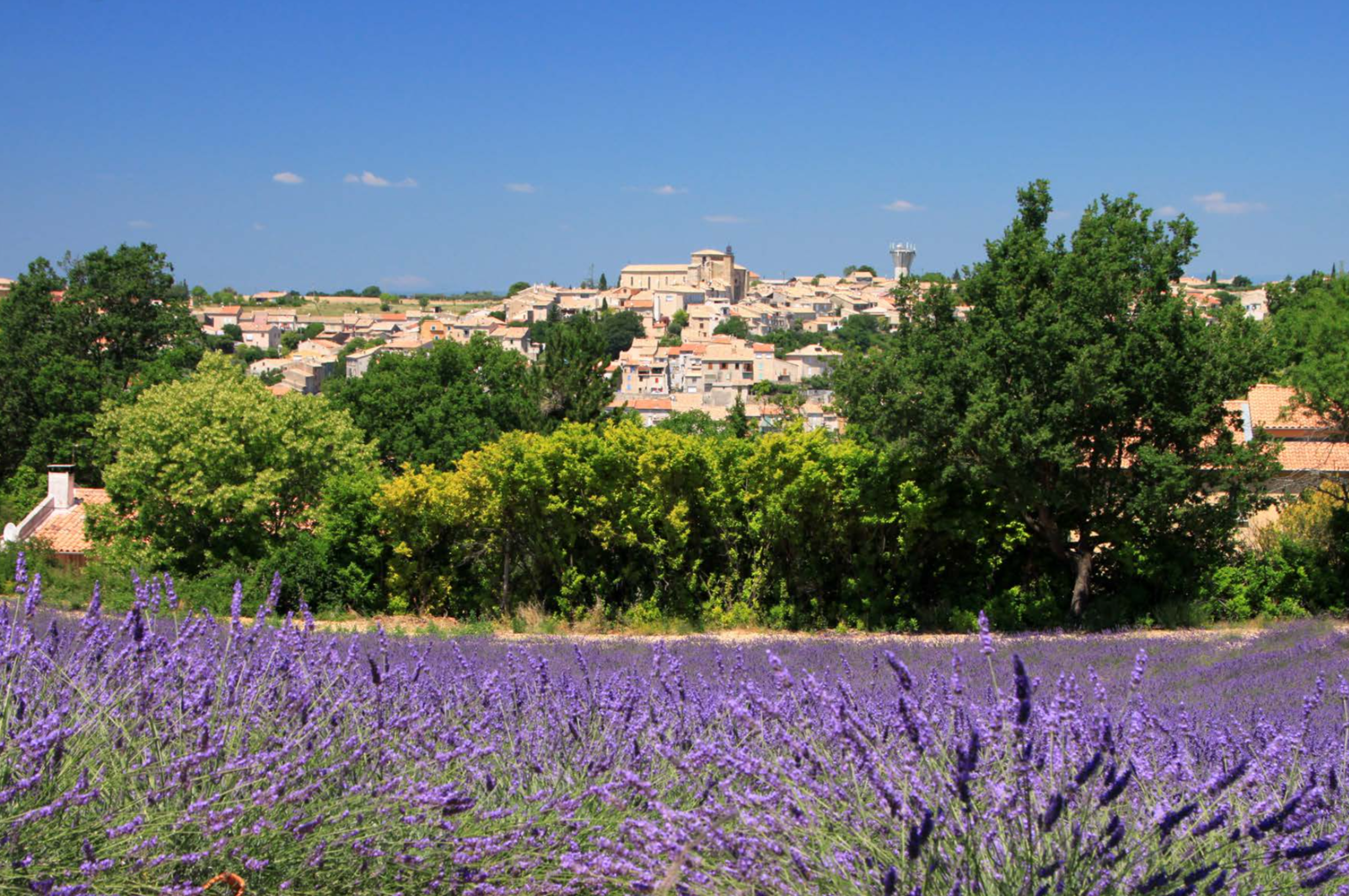 Vacances en Provence