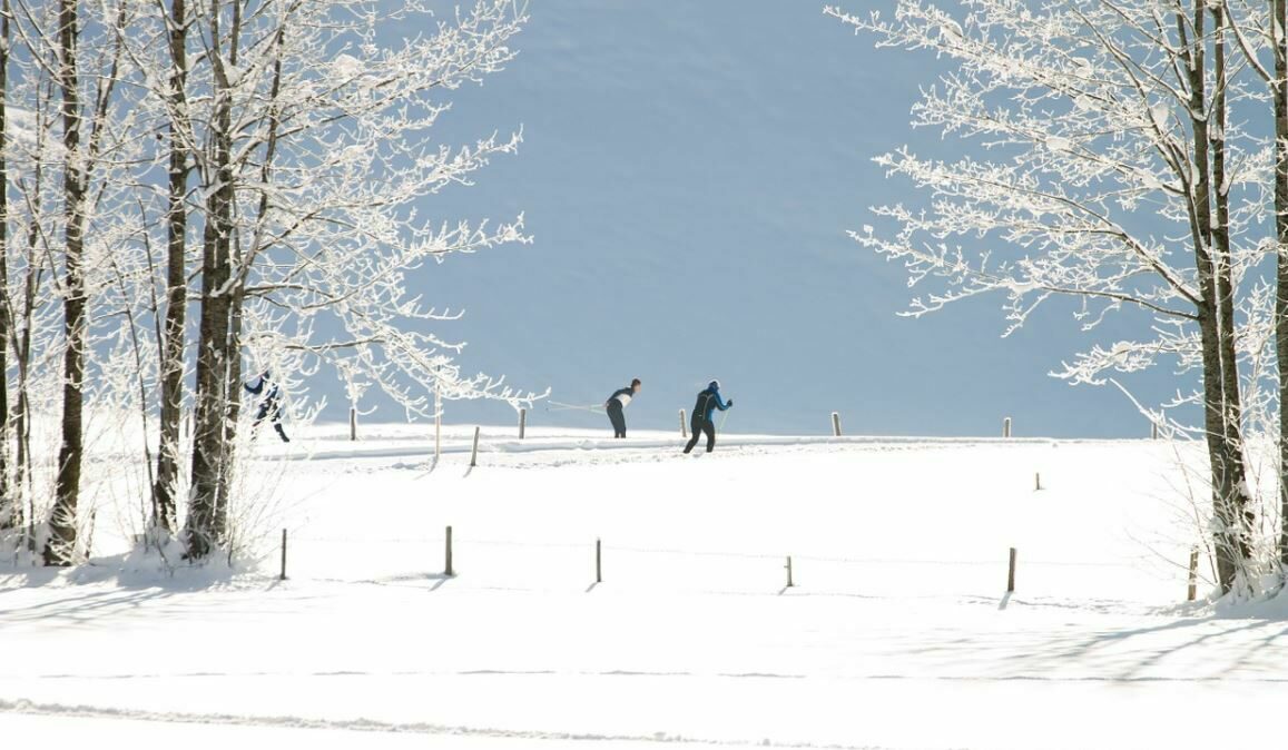 Ski bus and cross-country ski trail