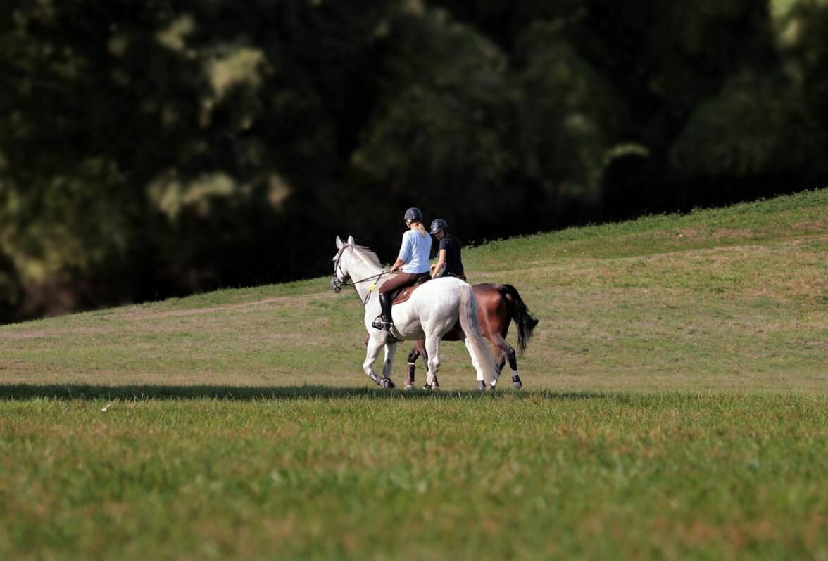 Horseback riding in Seefeld