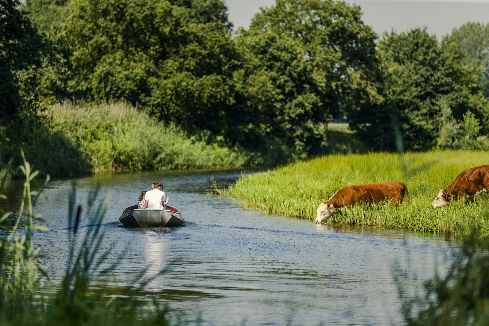 Kleine camping Nederland aan het water