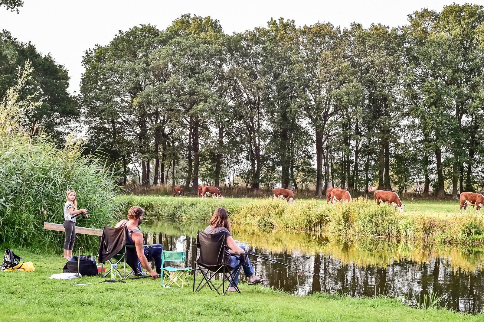 camping-aan-rivier-nederland