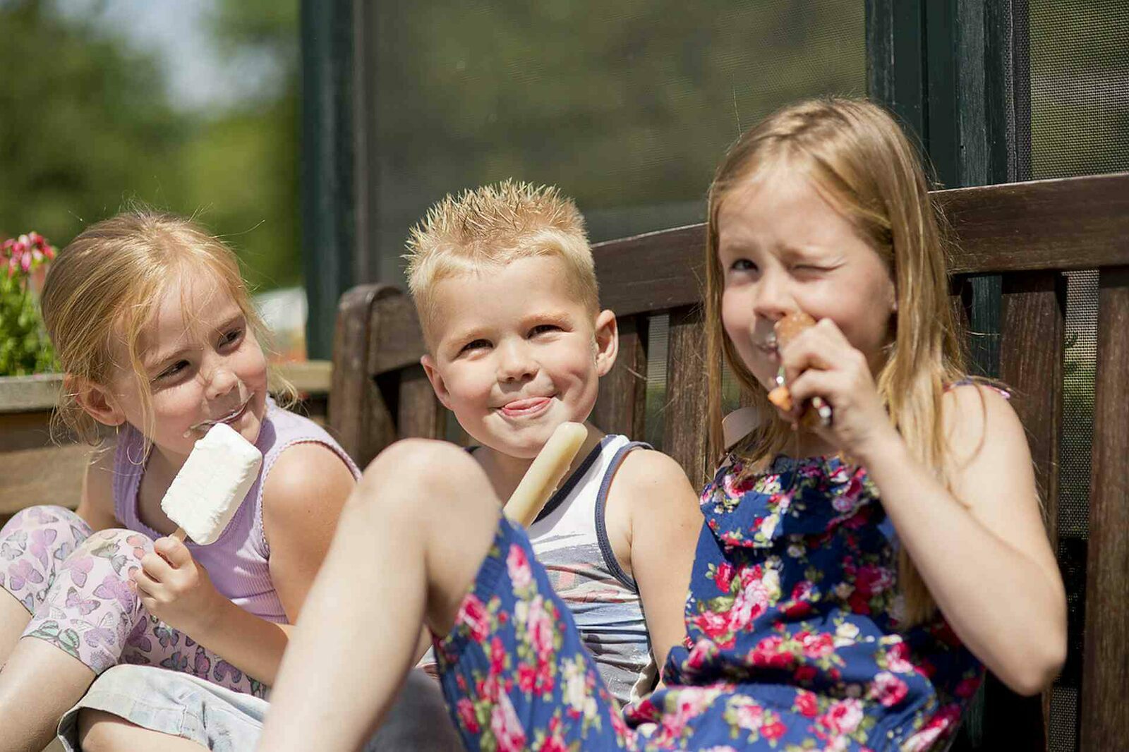 Zomervakantie in Overijssel