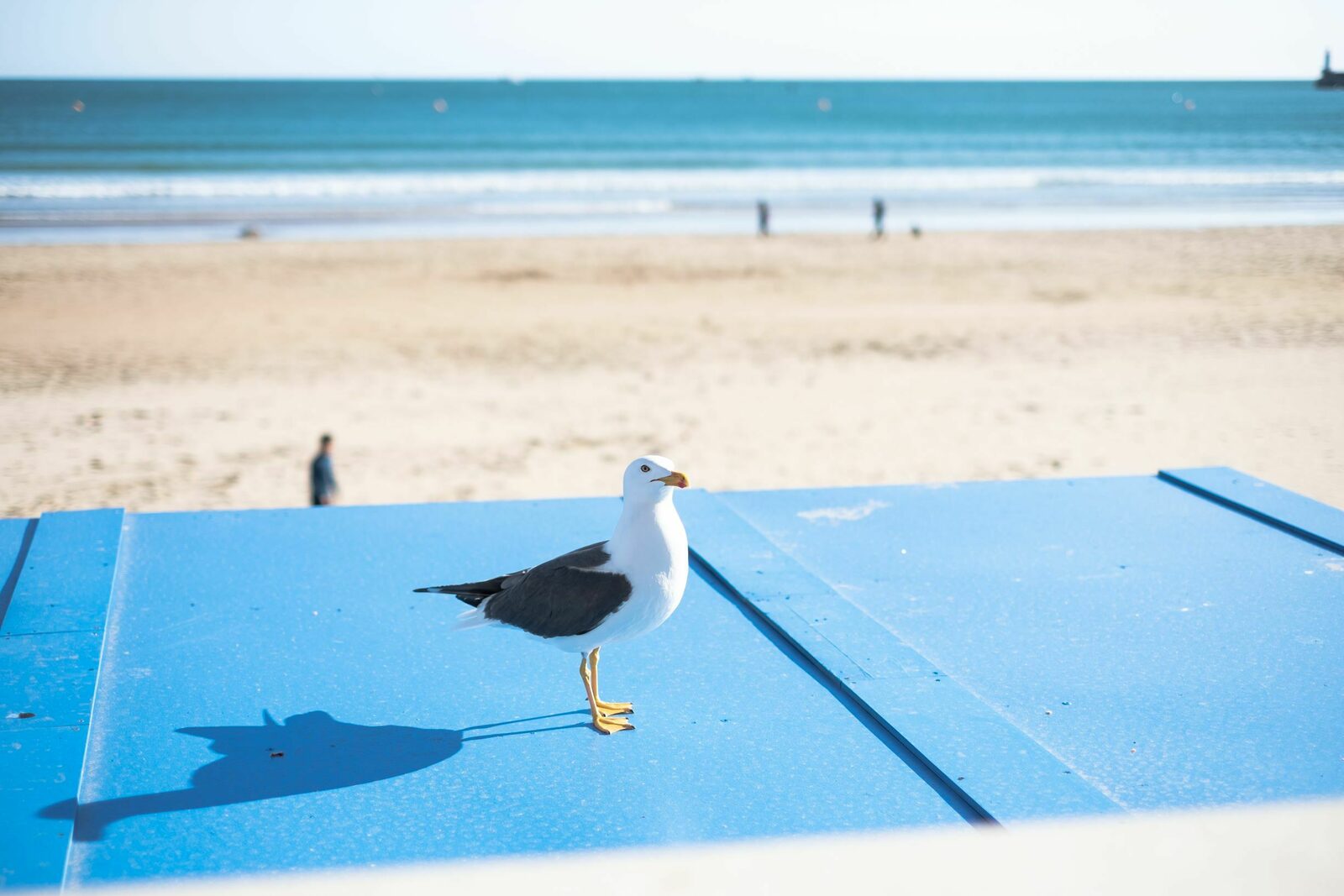 Beach Les Jardins 