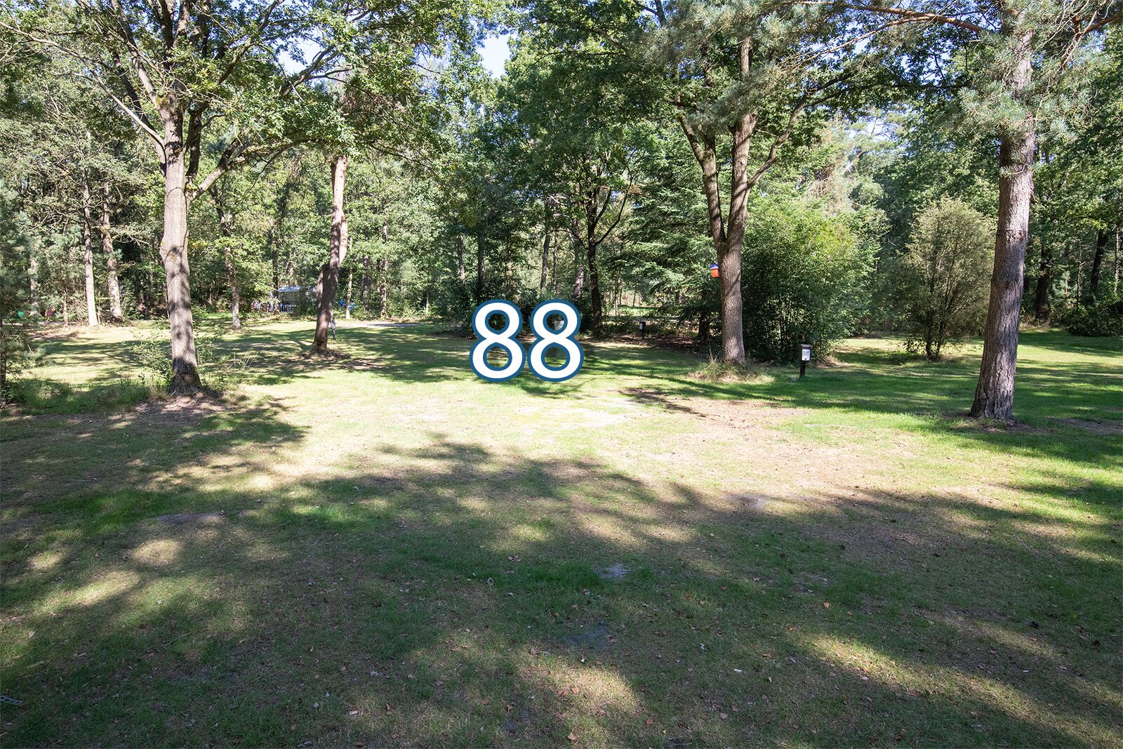 boshoek 88