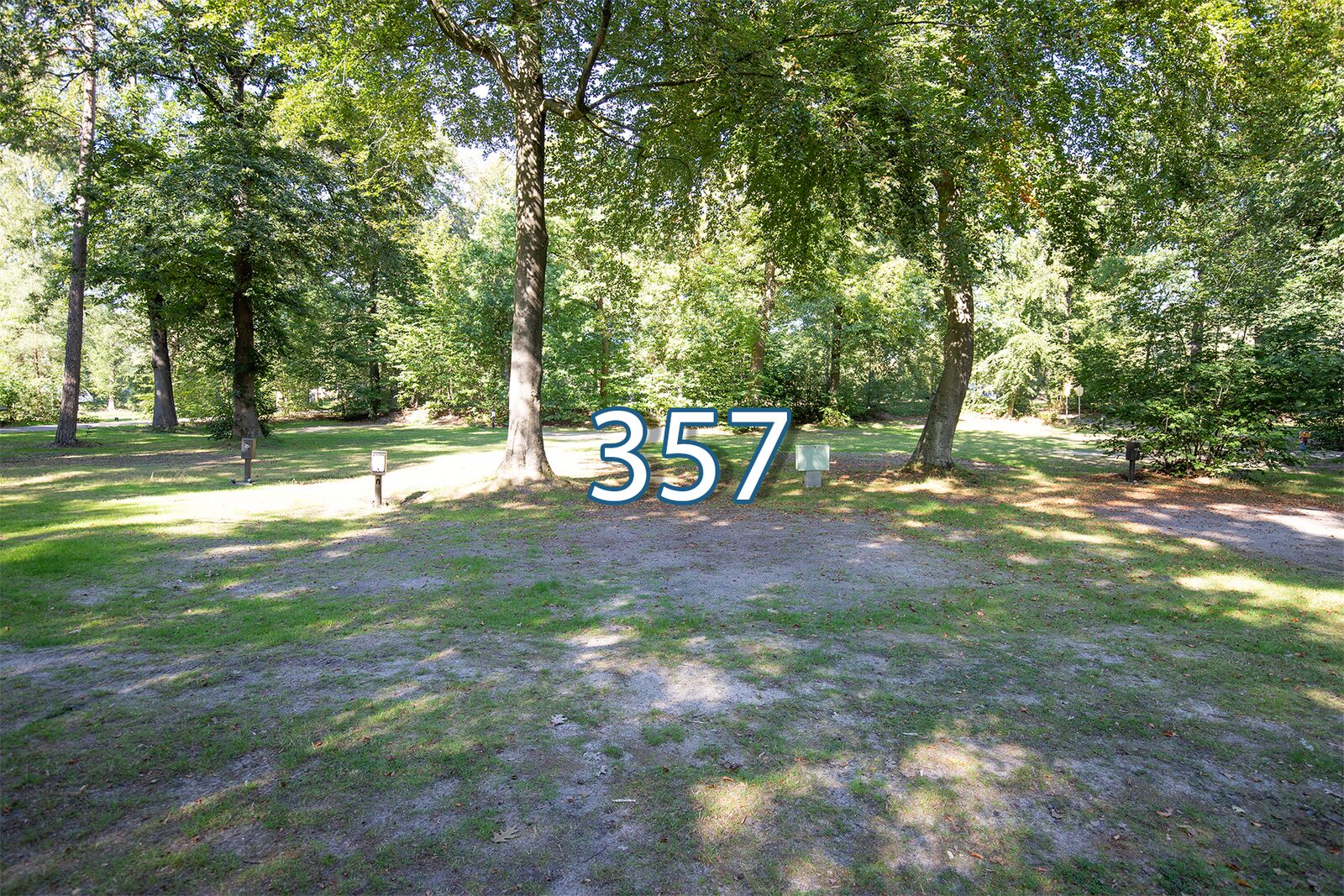 houtduif 357