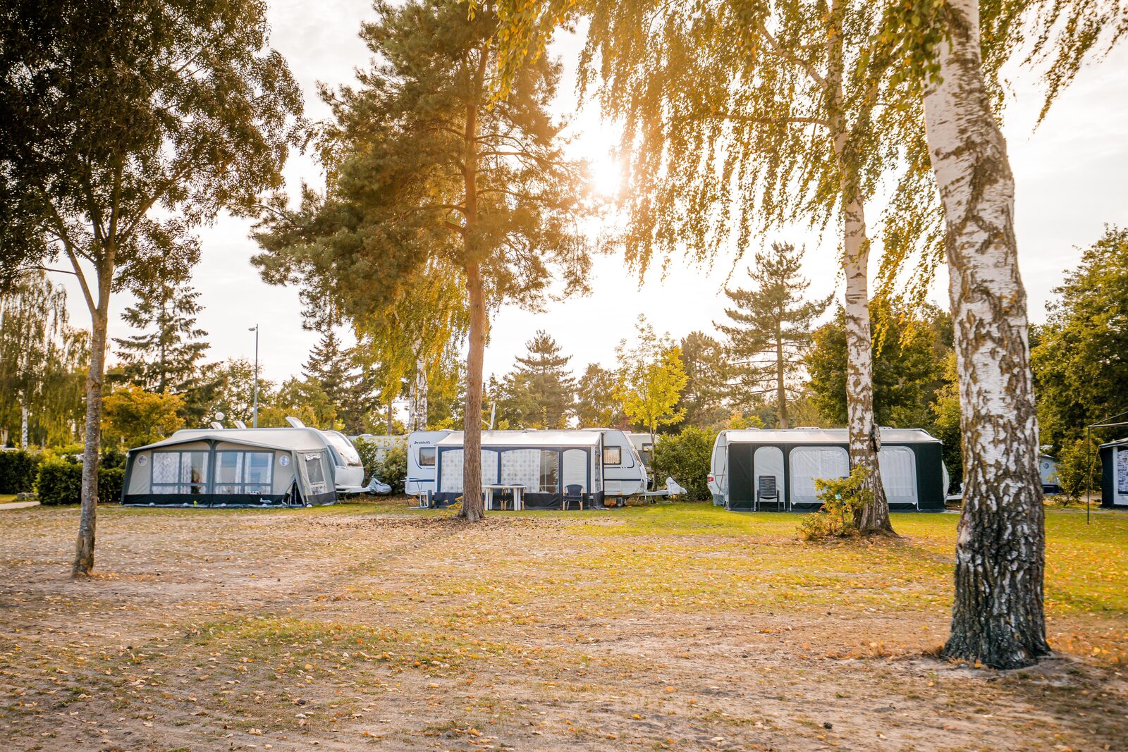 Take a look at our camping pitches