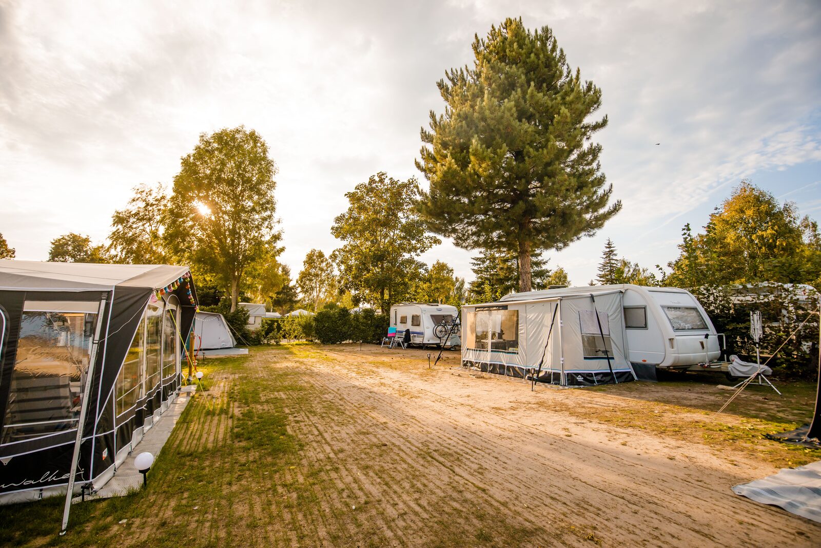 Our spacious camping pitches