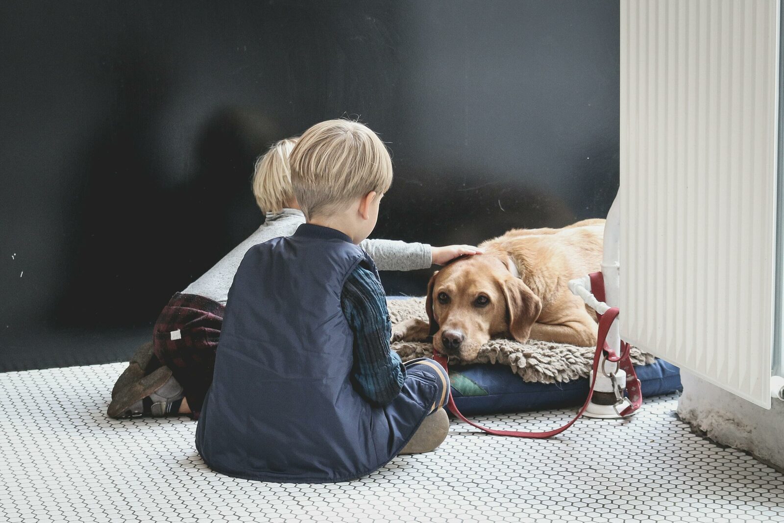 Chien avec enfants 